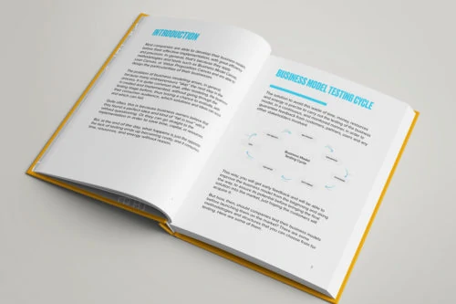 Business Model Testing - Super Guide