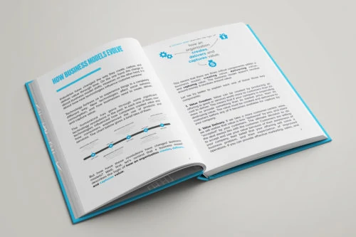 Business Models in 20th vs 21st centuries - inside pages