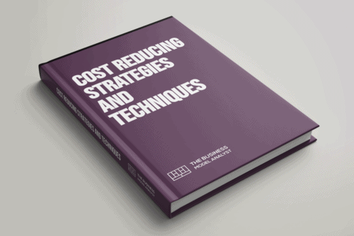 Cost Reducing Strategies and Techniques Cover
