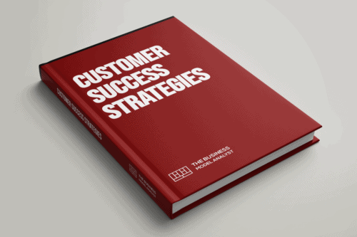 Customer Success Strategies Cover