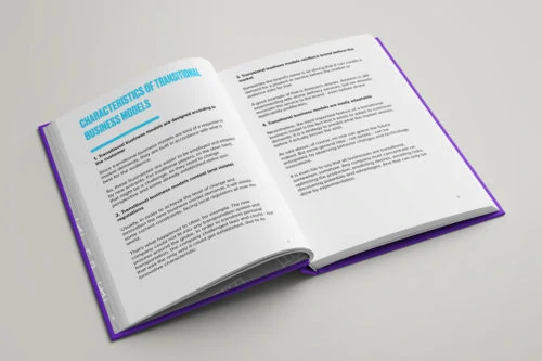 Transitional Business Models